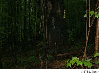 0 Pucker St, Mc Donough, NY 13801