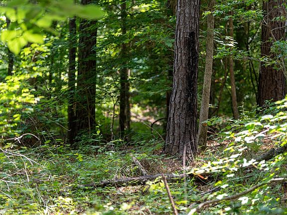 3rd image of Mason Ln