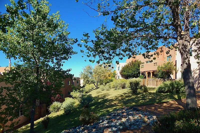 1 bed, 614 sqft, $1,600 — Photo 4