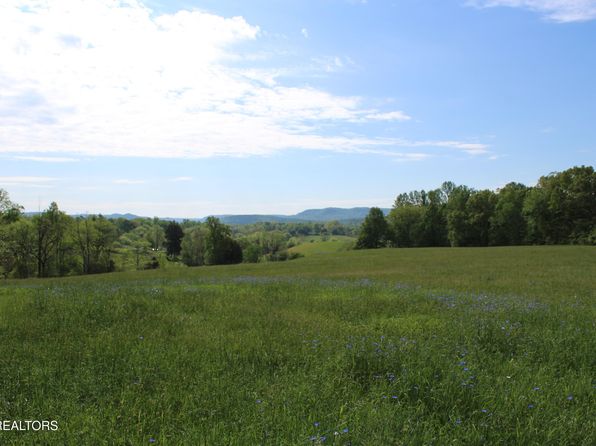 N York Hwy, Pall Mall, TN 38577