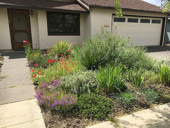 zerc-scaping front garden