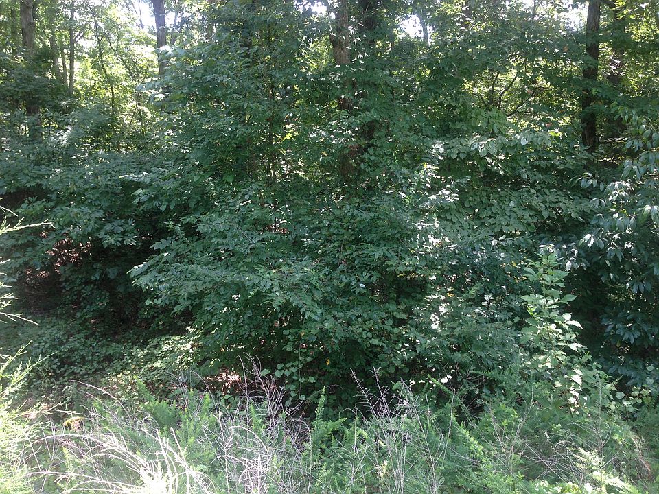 2nd image of 1155 Edgewood Dr