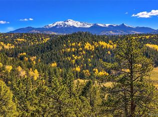 72 Buffalo Creek Trail, Florissant, CO 80816