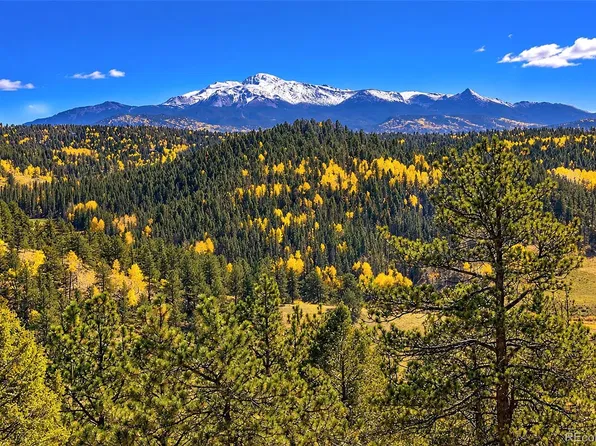 72 Buffalo Creek Trail, Florissant, CO 80816