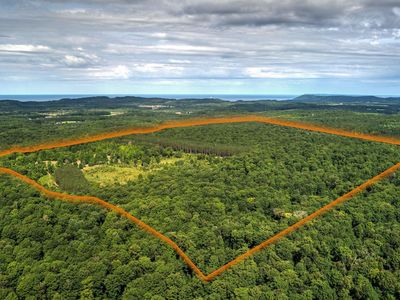 Esch Rd, Honor, MI, 49640