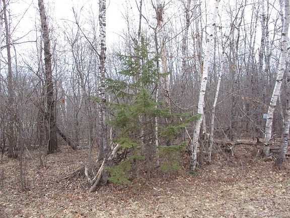 3rd image of Lot #24 28 11/16 Street