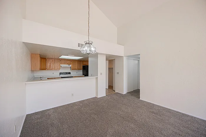2019 W Lemon Tree Pl #1110 — Photo 11