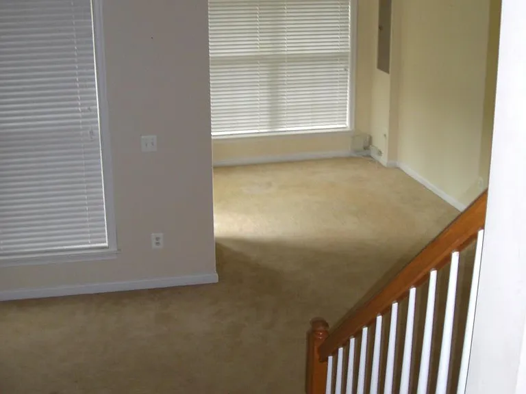 lower level