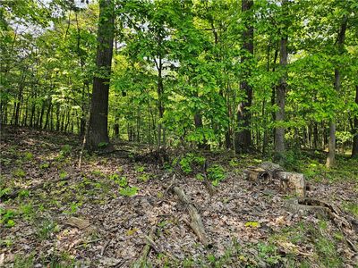 LOT Eau Claire Rd #D, Boyers, PA, 16020