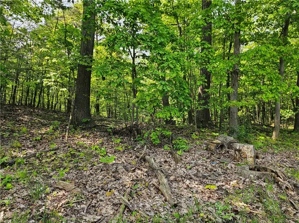 LOT Eau Claire Rd #D, Boyers, PA 16020