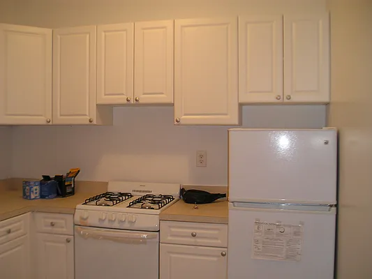 Rented by Eric Goodman Realty Corp | media 1