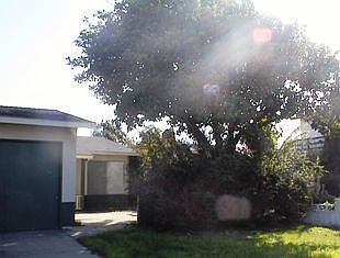 2nd image of 1438 Parsons Ave
