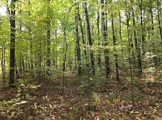 Tbd Deer Lake Rd, Crystal Falls, MI 49920