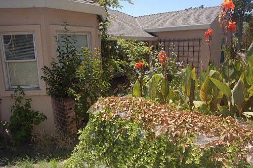 3rd image of 7740 Campoy St