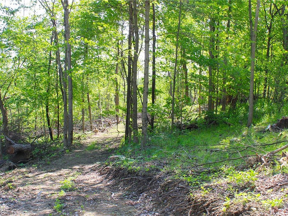 County Road 75, Bergholz, OH 43908 MLS 4452013 Zillow