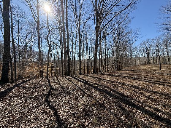 5th image of 4 N Lick Creek Rd Lot 4