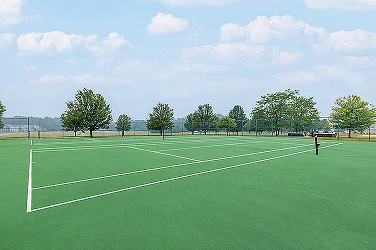 Somerset Park — Photo 14