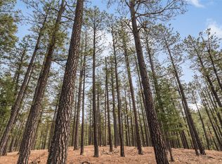 34 Forest Dr W, Rociada, NM 87742