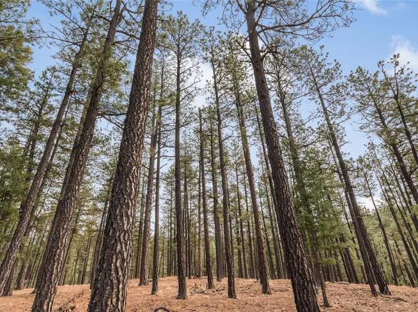 34 Forest Dr W, Rociada, NM 87742