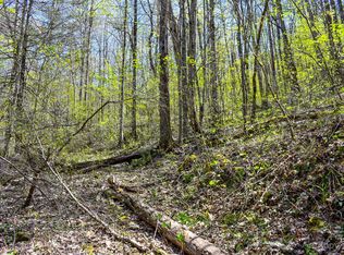 9 Walnut Cove Rdg, Bryson City, NC 28713