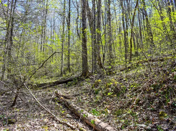9 Walnut Cove Rdg, Bryson City, NC 28713