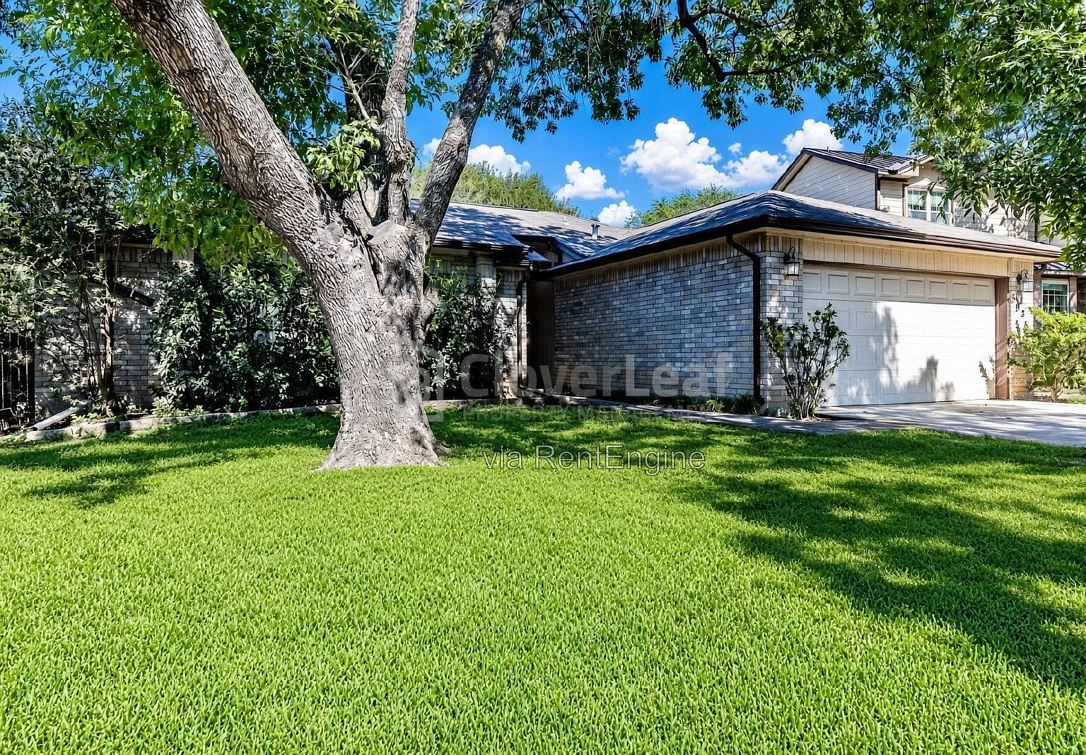 3 bed, 2.0 bath, 1300 sqft, $1,597 — Photo 3