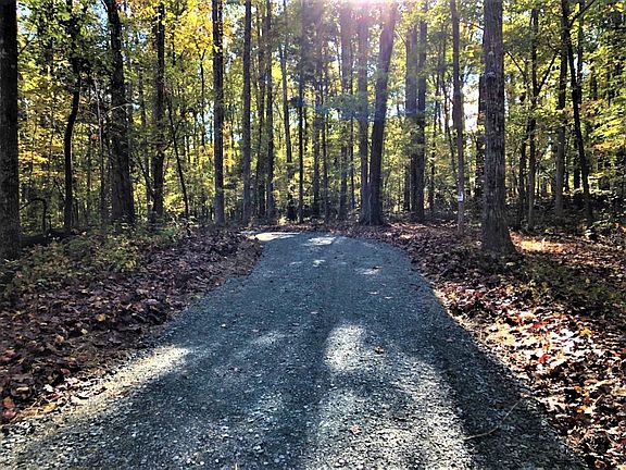 5th image of LOT 1 Preservation Forest Ln Lot 1