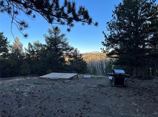 1173 Bellows Rd, Hartsel, CO 80449