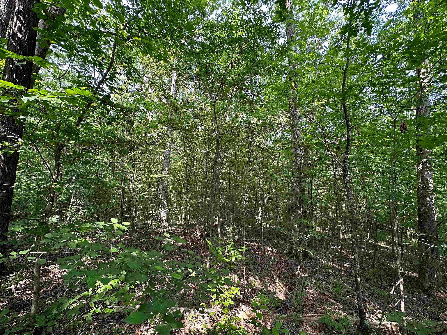 000 Vandiver Hollow Rd, Tuscumbia, AL 35674 MLS 512470 Zillow