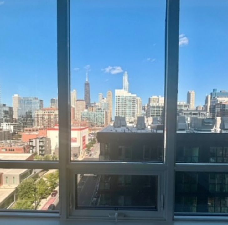 Chicago Skyline Views!