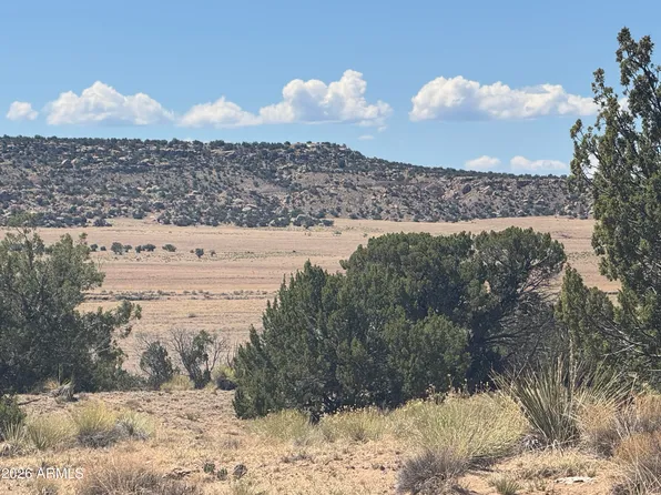Lot 753 Woodland Valley Ranch -- #753, St Johns, AZ 85936