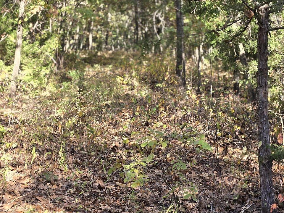 2nd image of Lot 15 Highway O