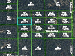 0 Chippewa Trl, Brooksville, FL 34601