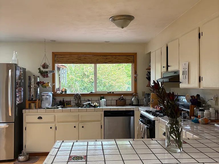 This is opposite the main entrance, looking towards the kitchen sink. The kitchen window is quite large, and looks out onto the park-like garden.