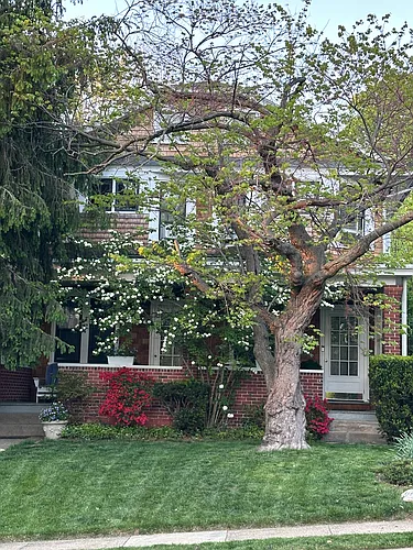115 E Laurel Ave #2 Photo 1