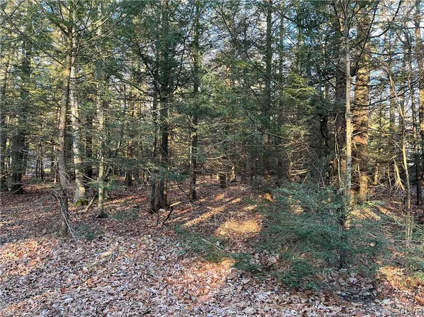 0 N Old Stage Rd, Albrightsville, PA 18210