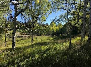 413 Pike View Ln, Florissant, CO 80816