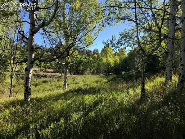 413 Pike View Ln, Florissant, CO 80816