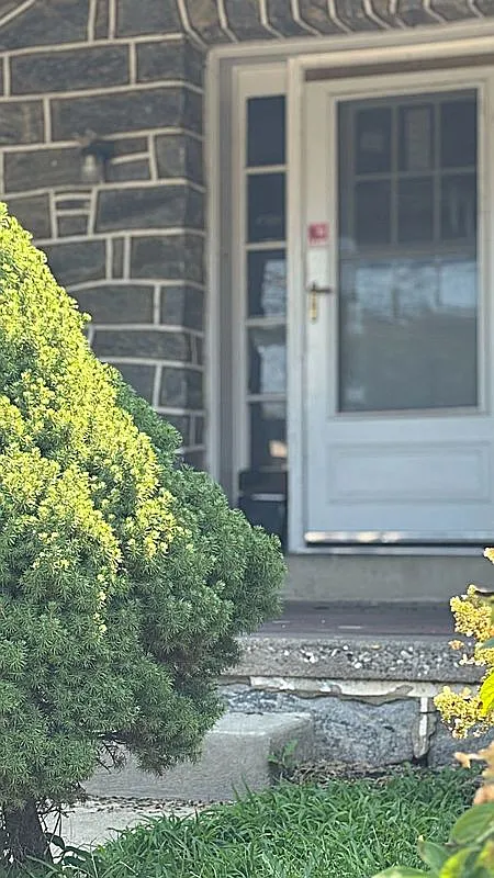 3 bed, 1.0 bath, 1350 sqft, $2,500 — Photo 2