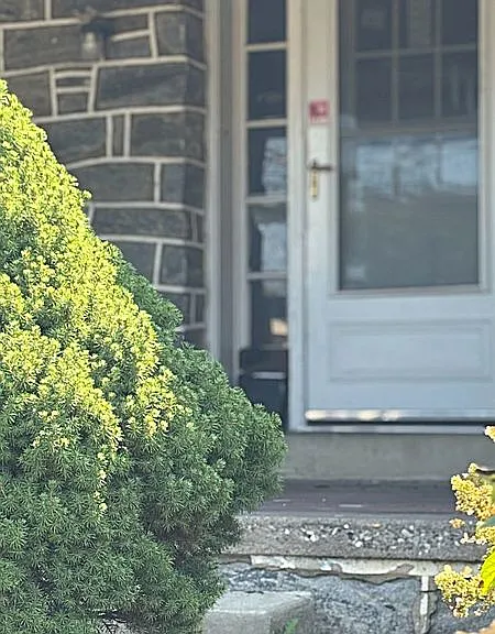 123 S Eagle Rd — Photo 2