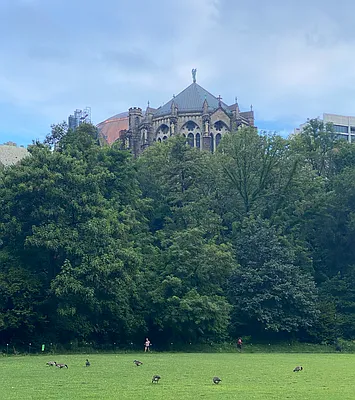 Rented by CITY SPHERE | media 15