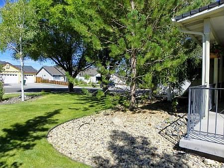 Front Yard
