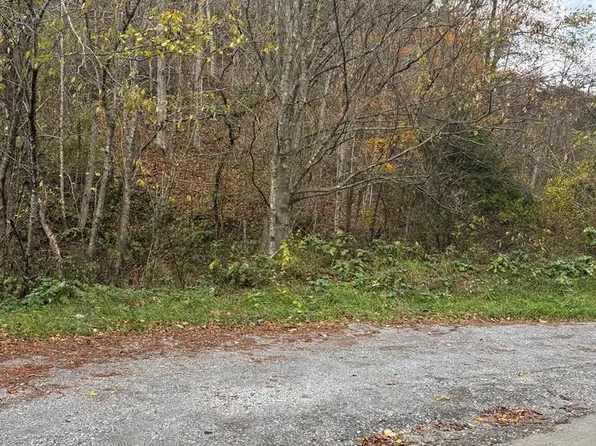 Tbd Hurt Buggy Rd, Cedar Bluff, VA 24609