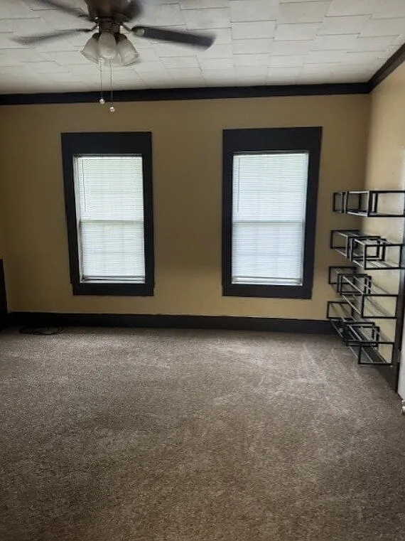 3 bed, 1.0 bath, 1428 sqft, $800 — Photo 3
