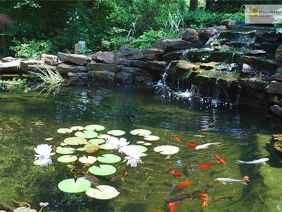 Gorgeous Koi Pond, at least 23 healthy fish.  It is FUN to feed them!  Kids LOVE  IT
