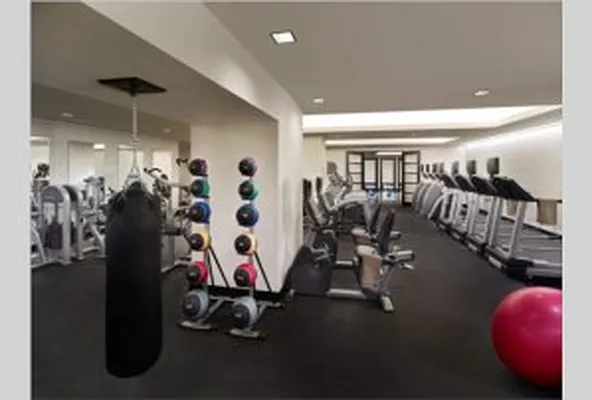Rented by Avenue Real Estate | media 9