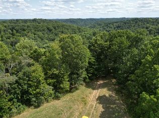 0 Garfield Rd, Palestine, WV 26160