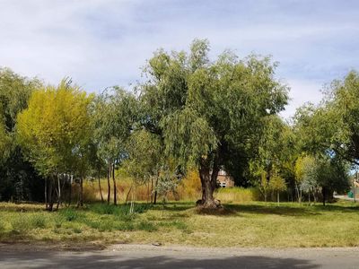 State Highway 150, Arroyo Seco, NM, 87514