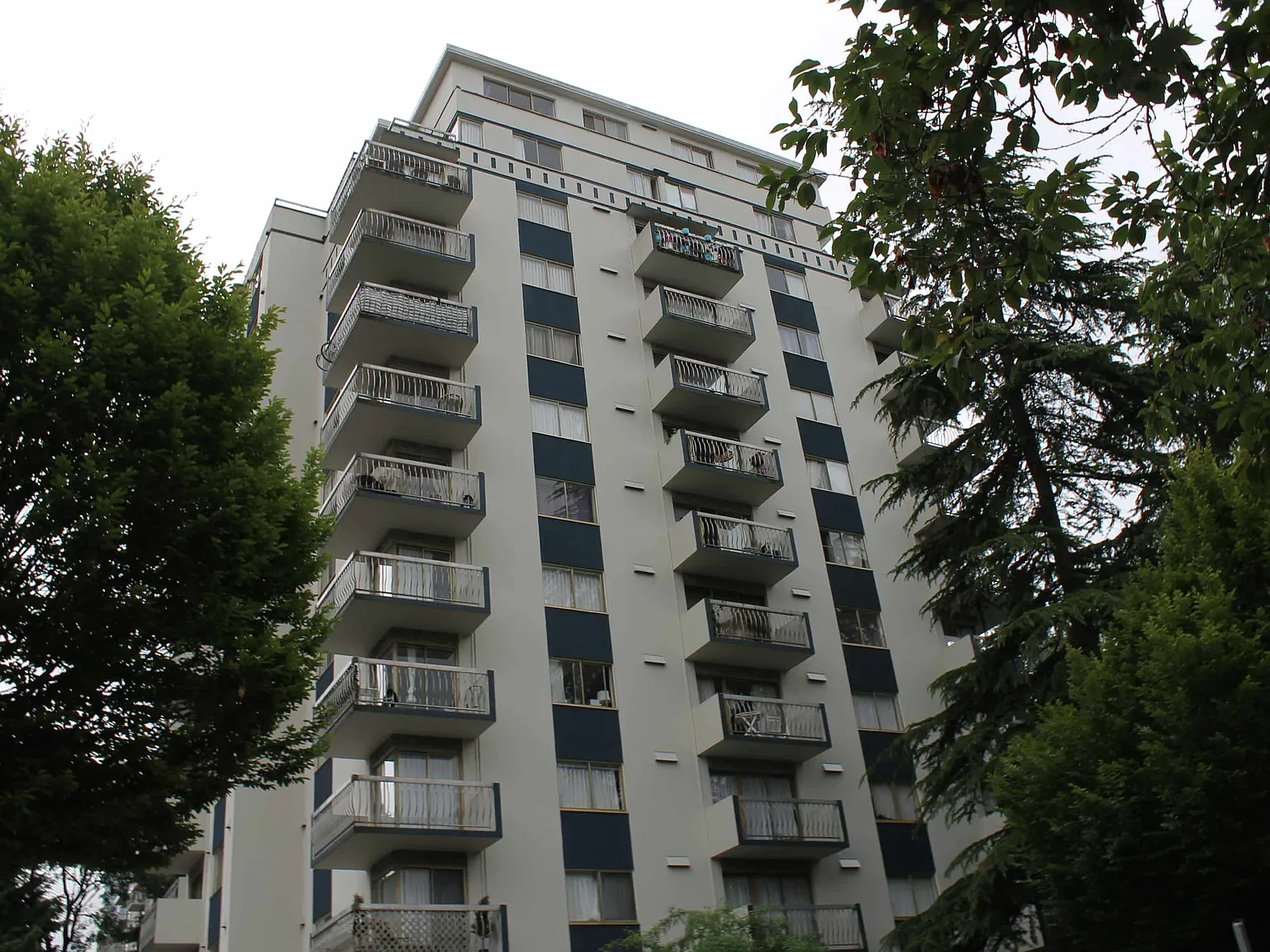 Bute Manor — Photo 2