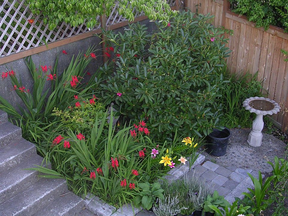 Corner Garden